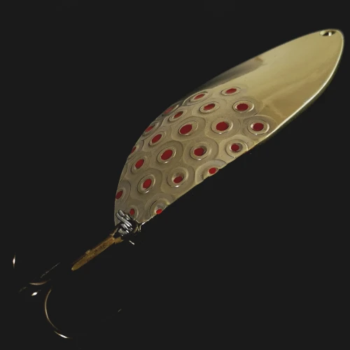 rs_alga_03.webp